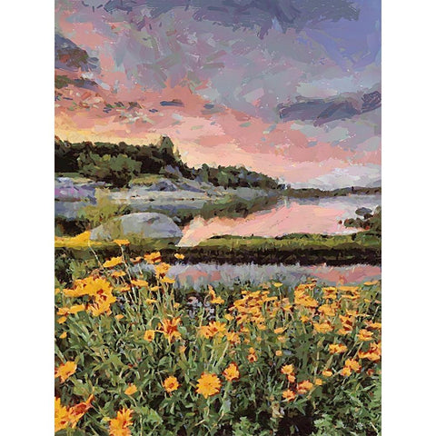 Flovers in the Mountains VI Black Modern Wood Framed Art Print by Medeiros, Celito