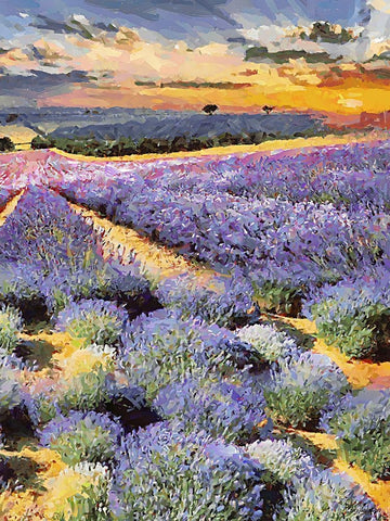 Lavender Field II Black Ornate Wood Framed Art Print with Double Matting by Medeiros, Celito