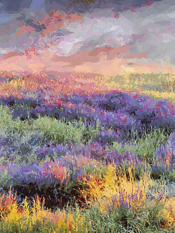 Lavender Field III White Modern Wood Framed Art Print with Double Matting by Medeiros, Celito