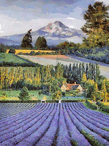 Lavender Field V Black Ornate Wood Framed Art Print with Double Matting by Medeiros, Celito