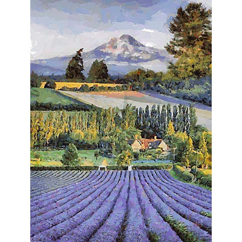 Lavender Field V Gold Ornate Wood Framed Art Print with Double Matting by Medeiros, Celito