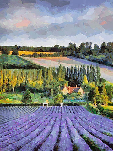 Lavender Field VI White Modern Wood Framed Art Print with Double Matting by Medeiros, Celito