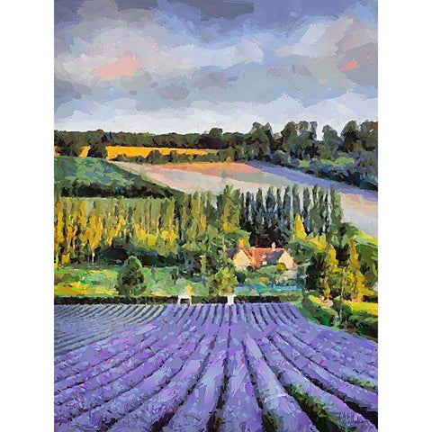 Lavender Field VI White Modern Wood Framed Art Print by Medeiros, Celito