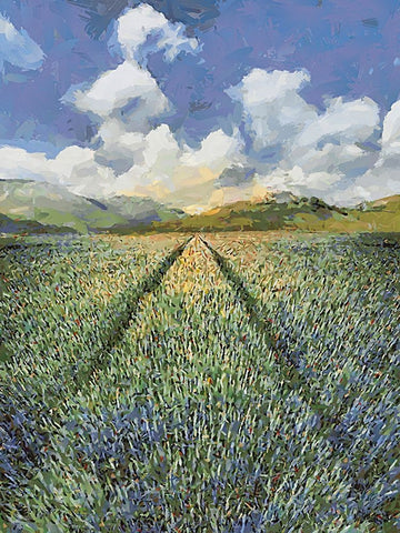 Sunset over Flowers I White Modern Wood Framed Art Print with Double Matting by Medeiros, Celito