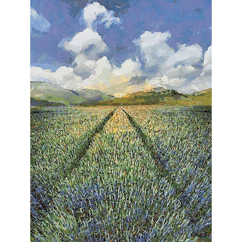 Sunset over Flowers I Black Modern Wood Framed Art Print with Double Matting by Medeiros, Celito