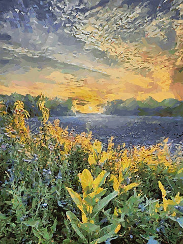 Sunset over Flowers II White Modern Wood Framed Art Print with Double Matting by Medeiros, Celito