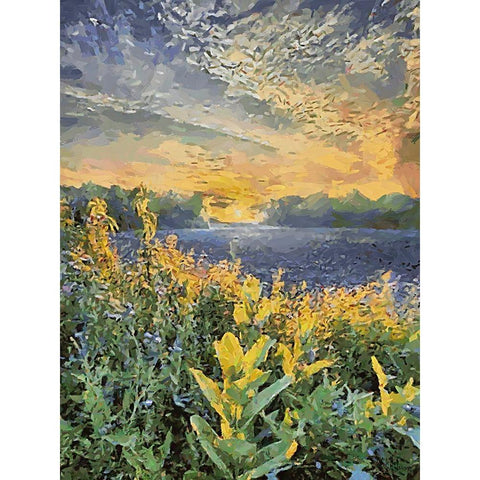 Sunset over Flowers II Black Modern Wood Framed Art Print by Medeiros, Celito