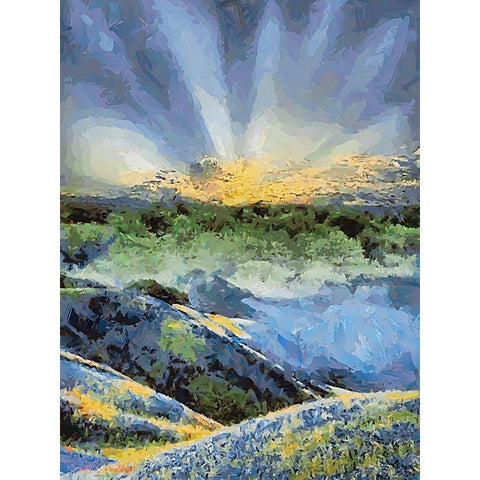 Sunset over Flowers III Black Modern Wood Framed Art Print with Double Matting by Medeiros, Celito