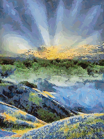 Sunset over Flowers III Black Ornate Wood Framed Art Print with Double Matting by Medeiros, Celito