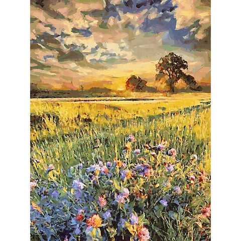 Sunset over Flowers IV White Modern Wood Framed Art Print by Medeiros, Celito