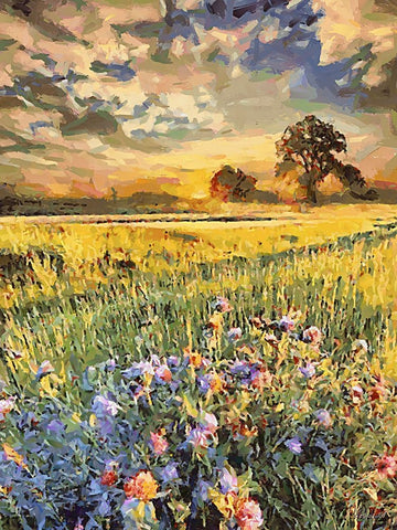 Sunset over Flowers IV Black Ornate Wood Framed Art Print with Double Matting by Medeiros, Celito