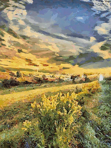 Sunset over Flowers V White Modern Wood Framed Art Print with Double Matting by Medeiros, Celito