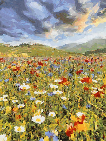 Sunset over Flowers VI White Modern Wood Framed Art Print with Double Matting by Medeiros, Celito