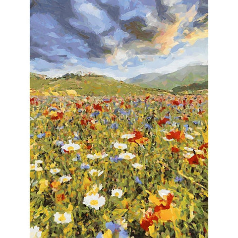 Sunset over Flowers VI Black Modern Wood Framed Art Print by Medeiros, Celito