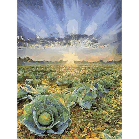Sunset over Flowers VII Black Modern Wood Framed Art Print by Medeiros, Celito