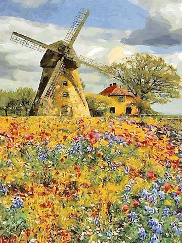 Windmill behind a Filed with Flowers White Modern Wood Framed Art Print with Double Matting by Medeiros, Celito