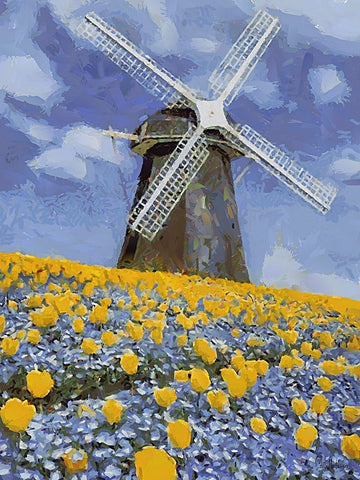 Windmill behind a Filed with Flowers Black Ornate Wood Framed Art Print with Double Matting by Medeiros, Celito