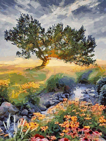 Sunset behind a Tree I Black Ornate Wood Framed Art Print with Double Matting by Medeiros, Celito