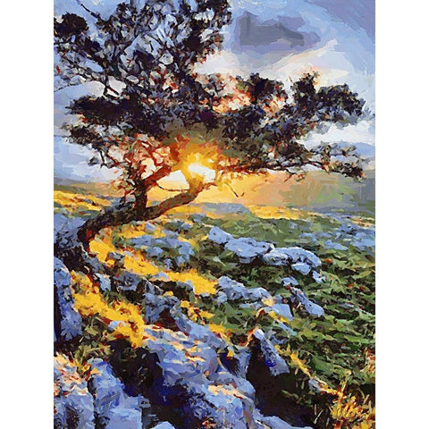 Sunset behind a Tree II Black Modern Wood Framed Art Print with Double Matting by Medeiros, Celito