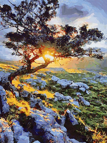 Sunset behind a Tree II White Modern Wood Framed Art Print with Double Matting by Medeiros, Celito