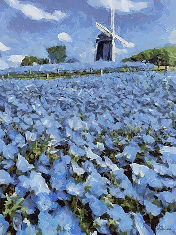 Windmill behind a Filed with Flowers White Modern Wood Framed Art Print with Double Matting by Medeiros, Celito