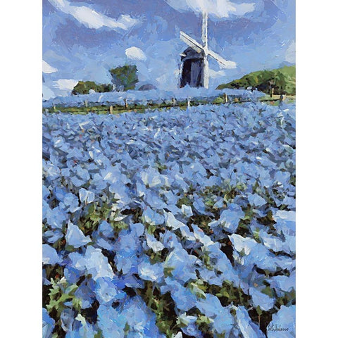 Windmill behind a Filed with Flowers Black Modern Wood Framed Art Print with Double Matting by Medeiros, Celito