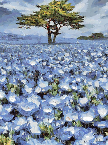 Field with Purple Flowers II White Modern Wood Framed Art Print with Double Matting by Medeiros, Celito