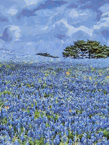 Field with Purple Flowers III Black Ornate Wood Framed Art Print with Double Matting by Medeiros, Celito