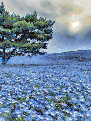 Field with Purple Flowers IV White Modern Wood Framed Art Print with Double Matting by Medeiros, Celito