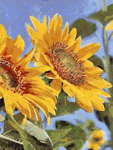 Sunflowers Collection III White Modern Wood Framed Art Print with Double Matting by Medeiros, Celito