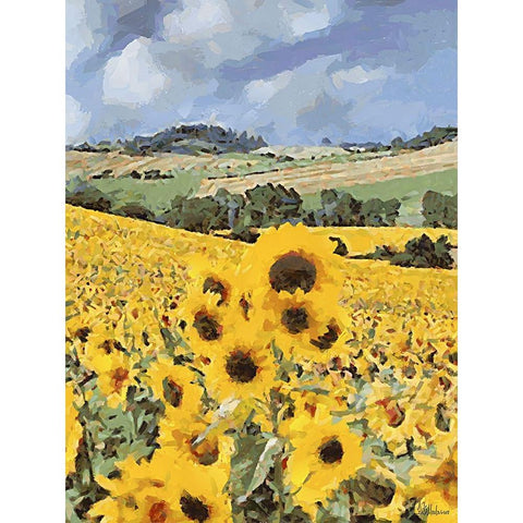 Sunflowers Collection V Black Modern Wood Framed Art Print with Double Matting by Medeiros, Celito