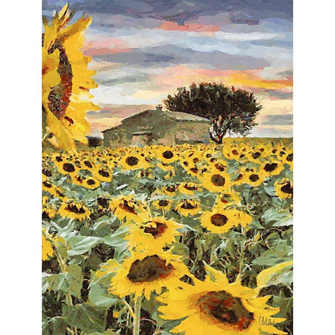 Sunflowers Collection VII Black Modern Wood Framed Art Print with Double Matting by Medeiros, Celito