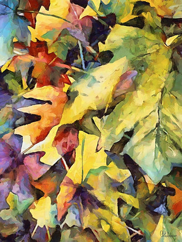 Autumn Leaves II Black Ornate Wood Framed Art Print with Double Matting by Medeiros, Celito