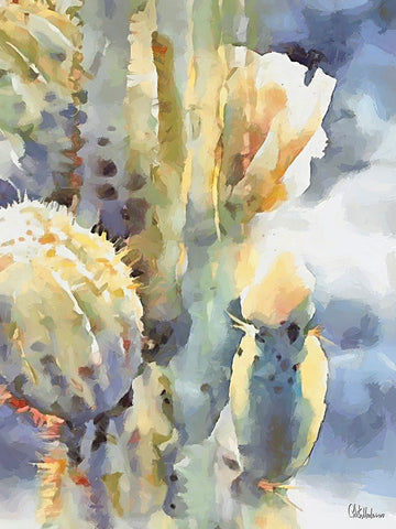 Cactus II Black Ornate Wood Framed Art Print with Double Matting by Medeiros, Celito