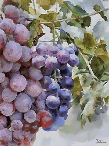 Grapes I White Modern Wood Framed Art Print with Double Matting by Medeiros, Celito