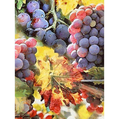Grapes IV Gold Ornate Wood Framed Art Print with Double Matting by Medeiros, Celito