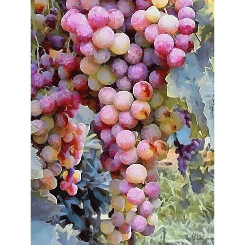 Grapes VII Black Modern Wood Framed Art Print with Double Matting by Medeiros, Celito