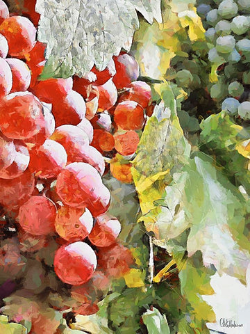 Grapes VIII White Modern Wood Framed Art Print with Double Matting by Medeiros, Celito