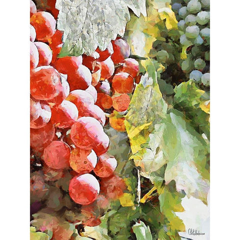 Grapes VIII White Modern Wood Framed Art Print by Medeiros, Celito