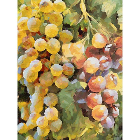 Grapes IX Black Modern Wood Framed Art Print with Double Matting by Medeiros, Celito