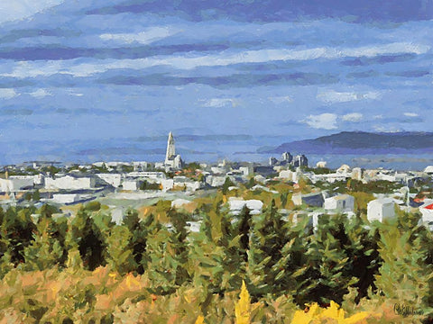 Beautiful nature in Iceland III White Modern Wood Framed Art Print with Double Matting by Medeiros, Celito