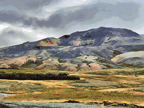 Beautiful nature in Iceland IX Black Ornate Wood Framed Art Print with Double Matting by Medeiros, Celito