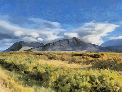 Beautiful nature in Iceland XI Black Ornate Wood Framed Art Print with Double Matting by Medeiros, Celito