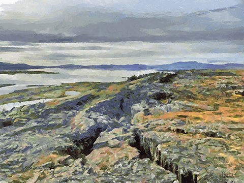 Beautiful nature in Iceland XII Black Ornate Wood Framed Art Print with Double Matting by Medeiros, Celito