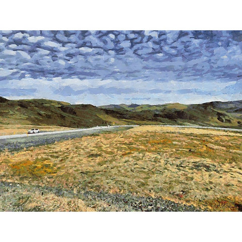 Beautiful nature in Iceland XIII Gold Ornate Wood Framed Art Print with Double Matting by Medeiros, Celito