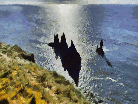 Beautiful nature in Iceland XXXI Black Ornate Wood Framed Art Print with Double Matting by Medeiros, Celito