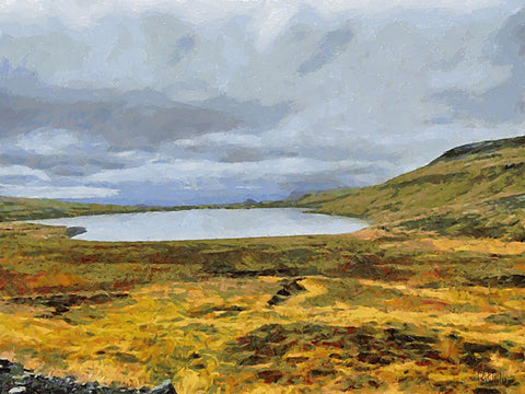 Beautiful nature in Iceland LV White Modern Wood Framed Art Print with Double Matting by Medeiros, Celito