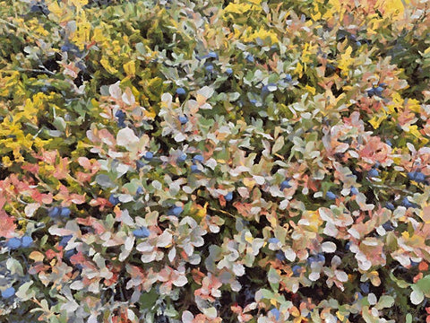 Beautiful nature in Iceland LIX White Modern Wood Framed Art Print with Double Matting by Medeiros, Celito