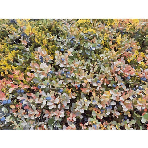 Beautiful nature in Iceland LIX Black Modern Wood Framed Art Print by Medeiros, Celito