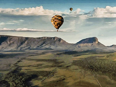 There must be view Black Ornate Wood Framed Art Print with Double Matting by Medeiros, Celito